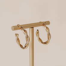 Load image into Gallery viewer, GOLD TINA HOOP EARRINGS | 18K GOLD PLATED
